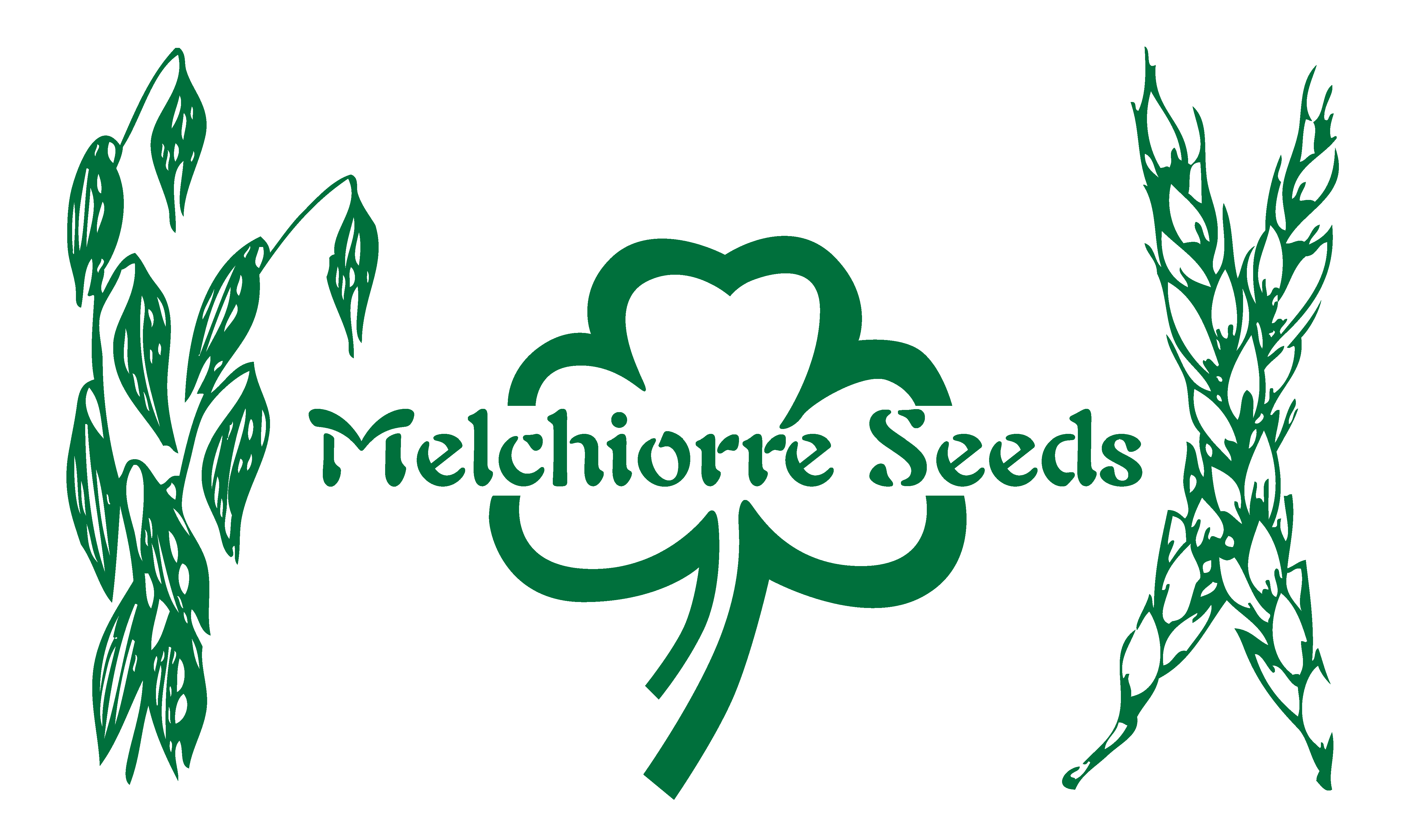 Melchiorre Seeds Website
